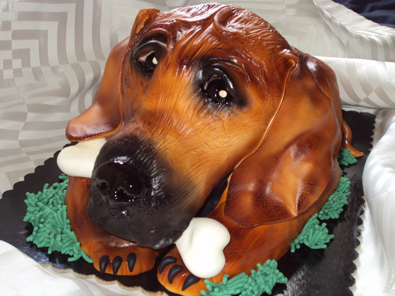 Щенок родезийского риджбека