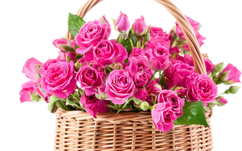 8aed91fa872c0ba48d511df774d9191b.jpg