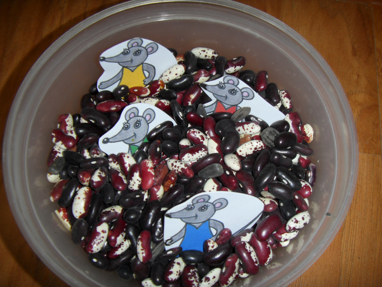 Наш отчет : ТН