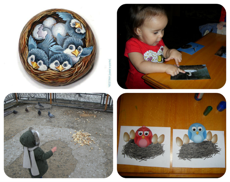 Наш отчет : ТН