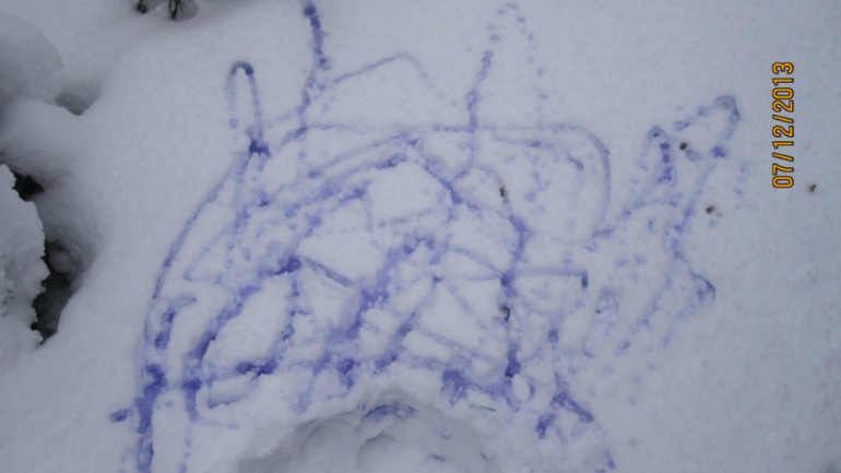 Зимний творческий марафон!