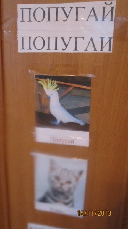 ТН