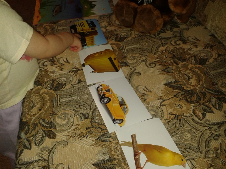 ТН ЦВЕТА День первый ЖЕЛТЫЙ