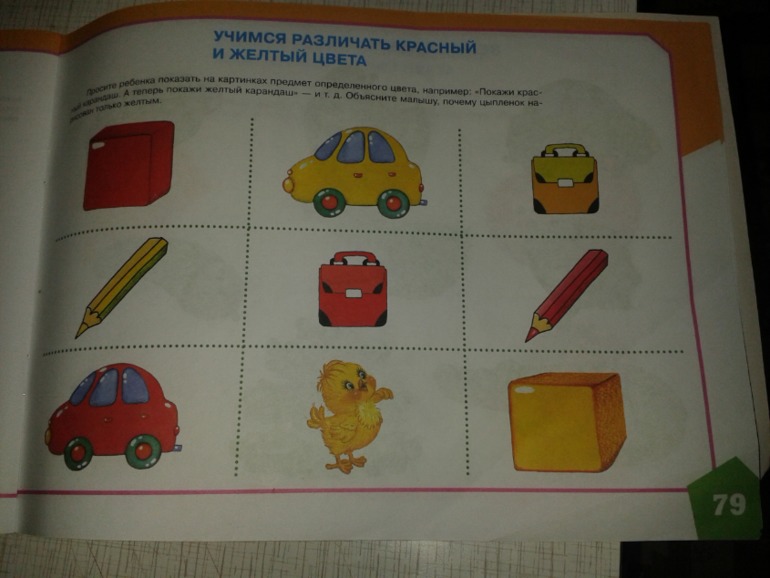 ТН ЦВЕТА День первый ЖЕЛТЫЙ