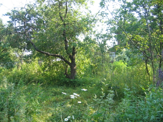 земельный участок (дача) подъезд с 3-х шоссе Киевское,Минское,Боровское.