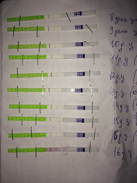 10 дц овуляция. была ли овуляция форум. тест на 25 день цикла. была ли овуляция форум. овуляция на 10 день цикла.