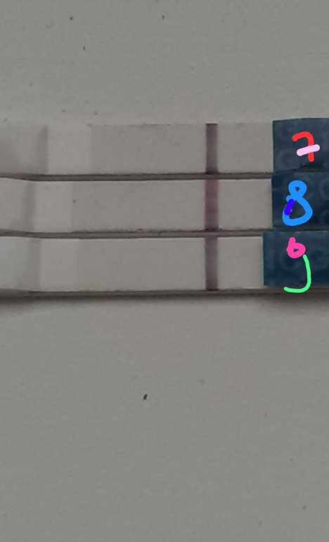 продолжение эксперимента)