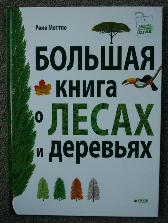 Большая книга о лесах и деревьях
