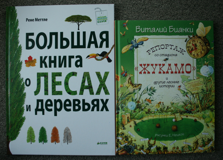Большая книга о лесах и деревьях