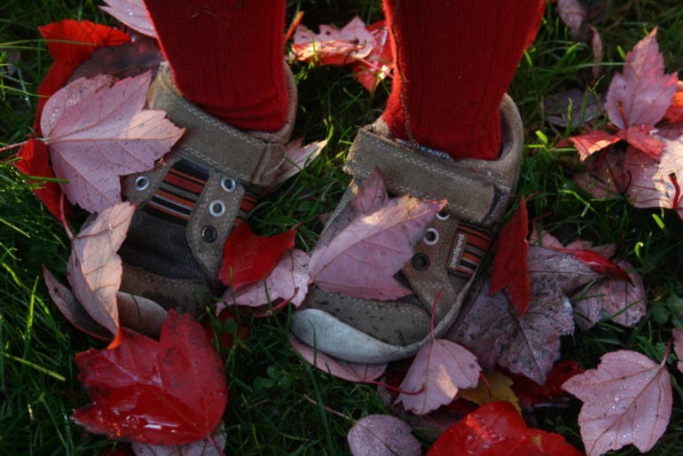 Осенние картинки