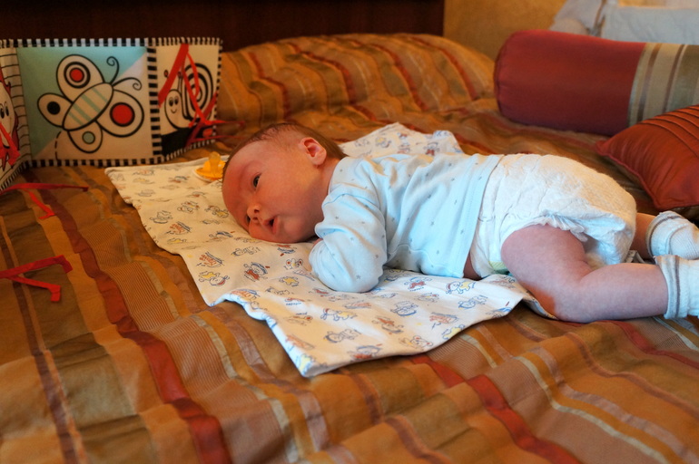 Любимые книжки 0-9 месяцев