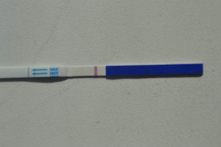 Началась тестомания... 7 ДПО