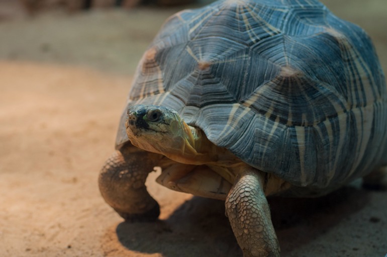 Берлинский аквариум