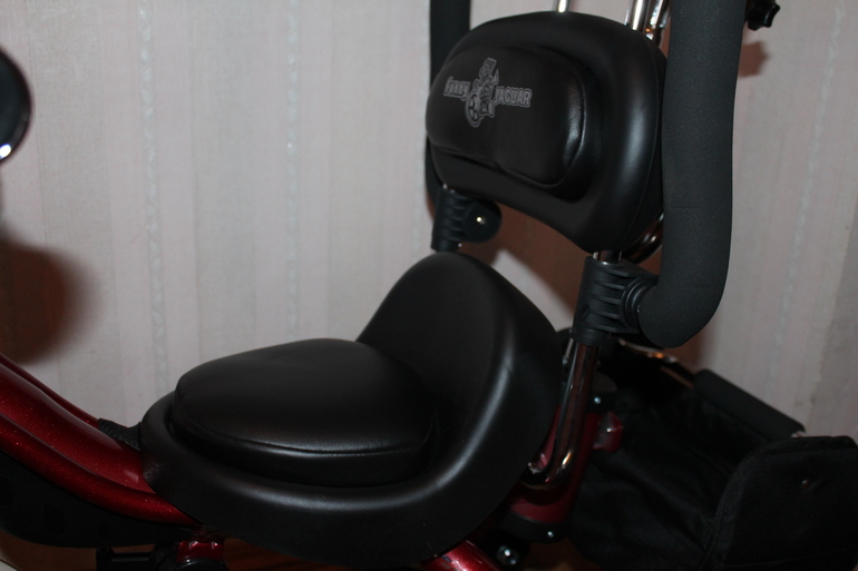 Из PUKY City Cat в Lexus Trike Original Grand