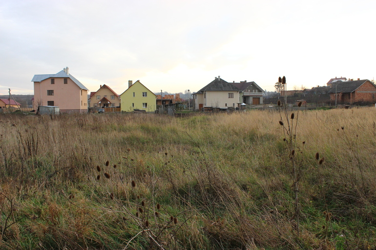 Как чайнику спланировать сад?