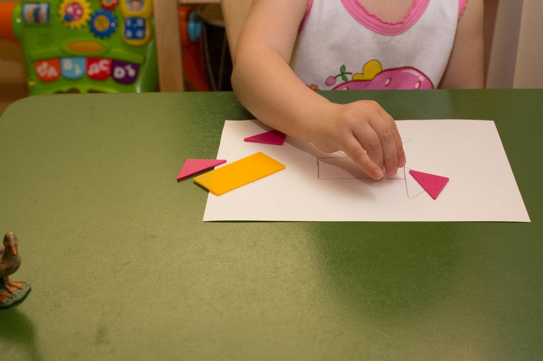 ТЗ "Утка, Гусь". Отчет