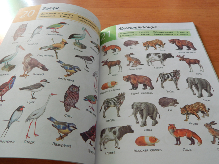 Книжный хваст №... (летнее пришло)