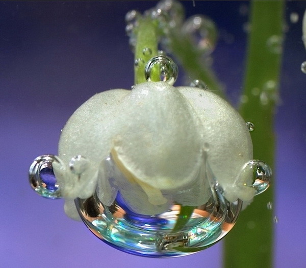 BDD3G-XM7FB-BD2HM-YK63V-VQFDK