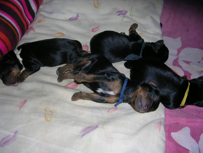 Кася стала мамой)))