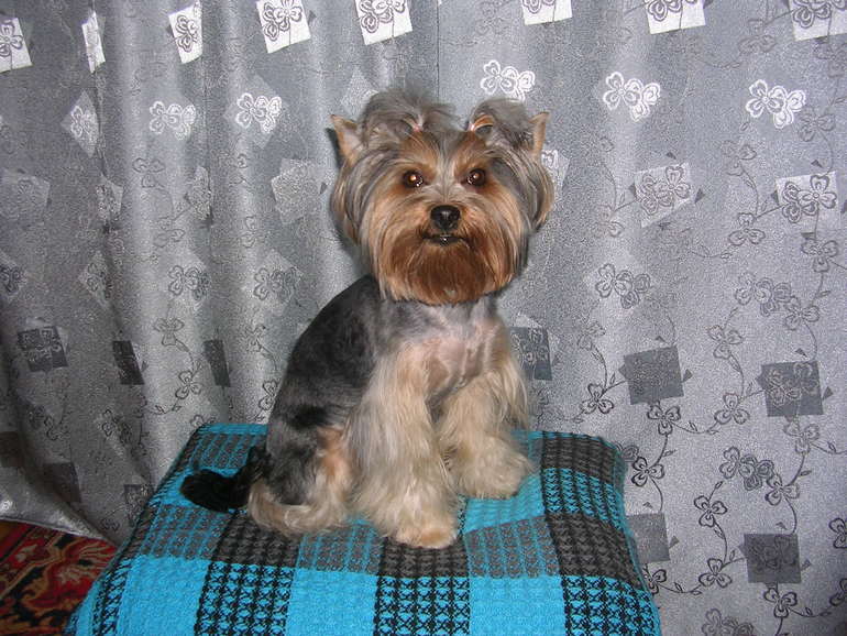 Моя радость!