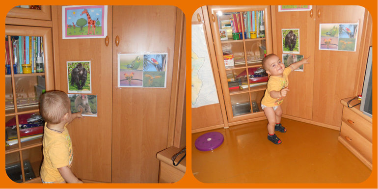 Африка, африка - сказочные страны....