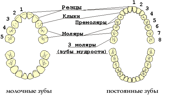 20772e5ca92733e5fa96ffd5011701b1.gif