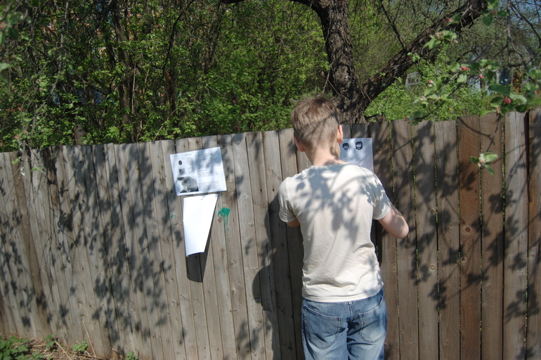 Веселые путешествия по странам мира!