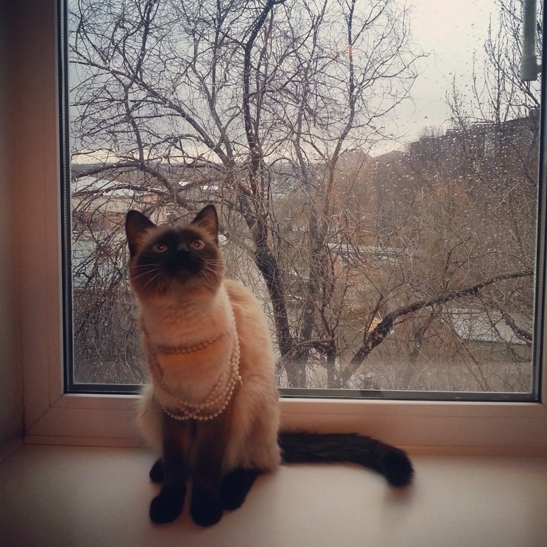 дом, в котором я всегда буду просто ребенком.