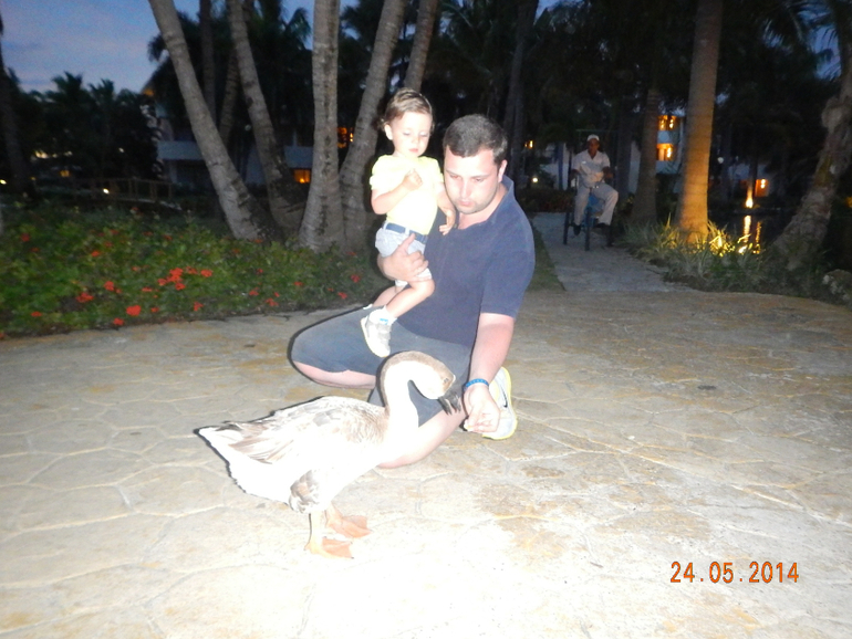 Наша Доминикана май 2014!