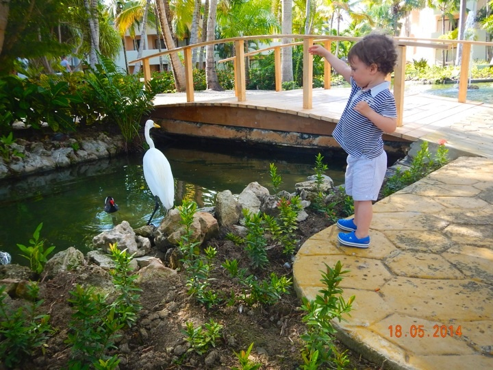 Наша Доминикана май 2014!