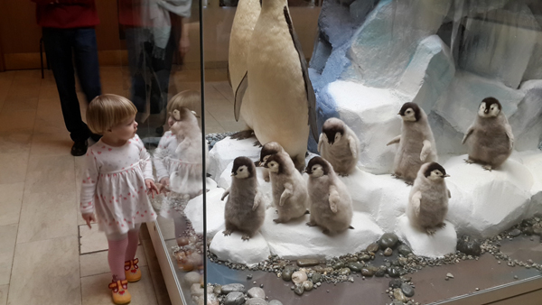 Поездка в дарвиновский музей (фото-отчет)