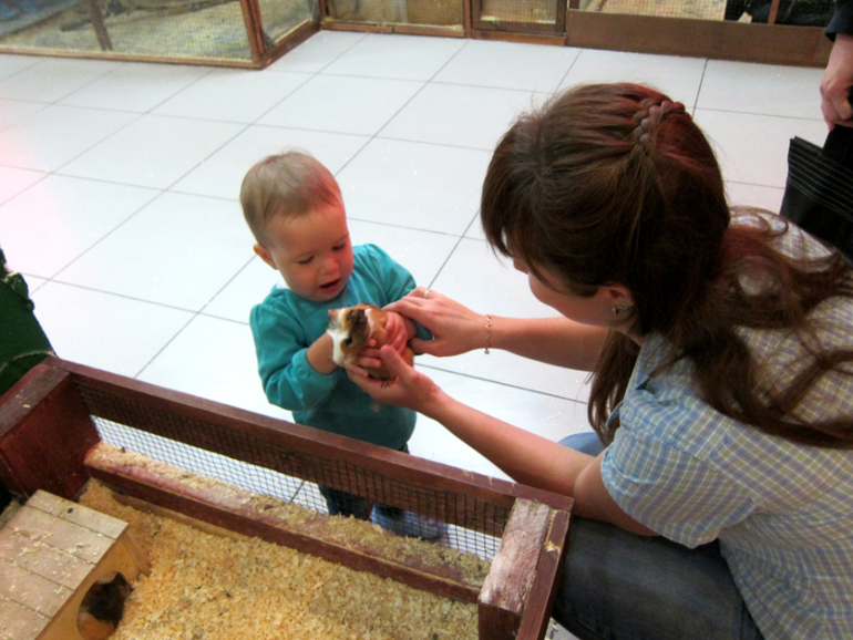 Сумбурный отчет за 2 месяца