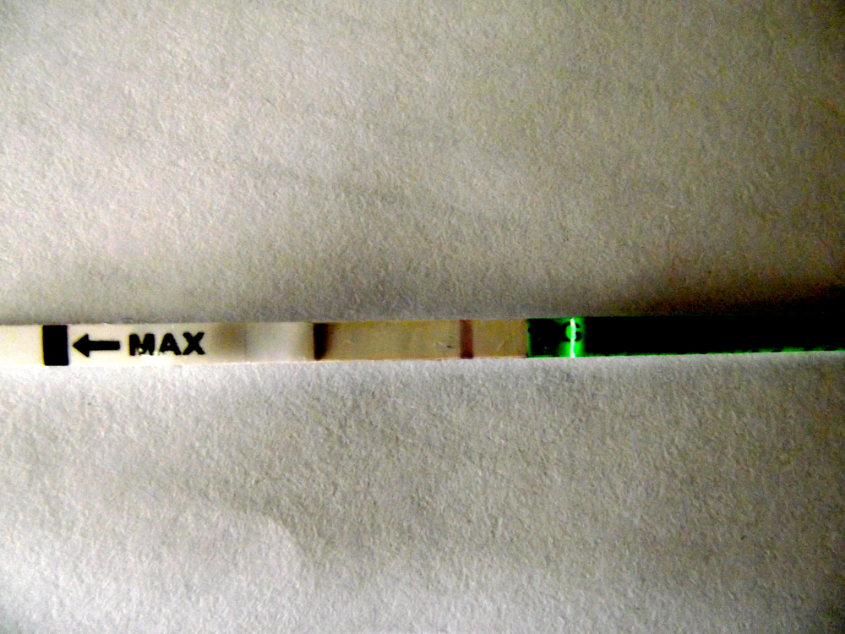 окончательно запуталась)