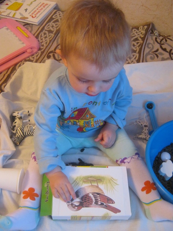 ТД Белый/черный или День Зебры