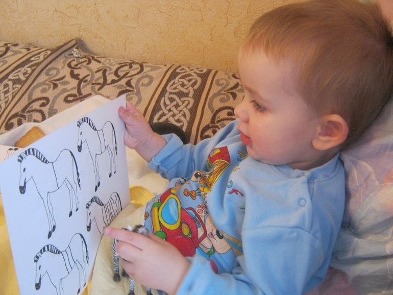 ТД Белый/черный или День Зебры