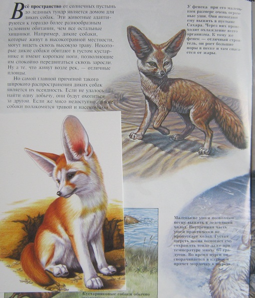 Большое занятие 1