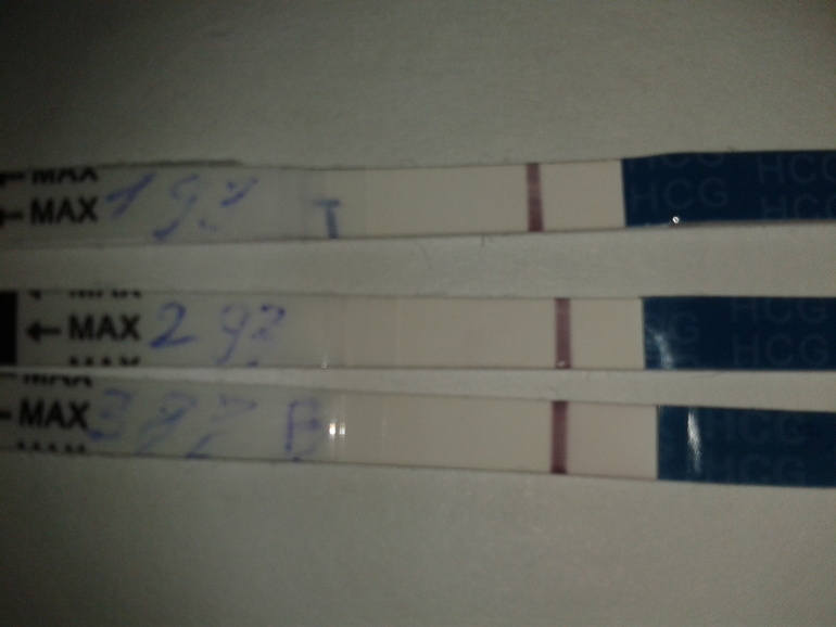 3 дз вечерний тест