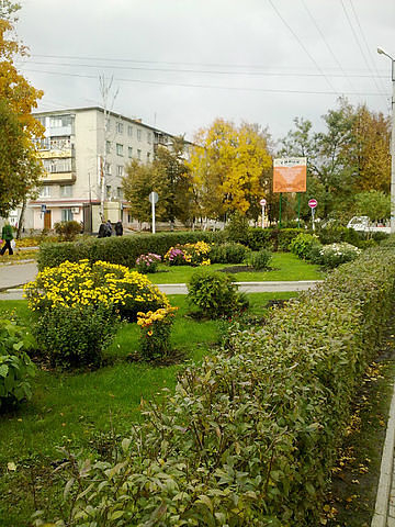 Девочки,а давайте?