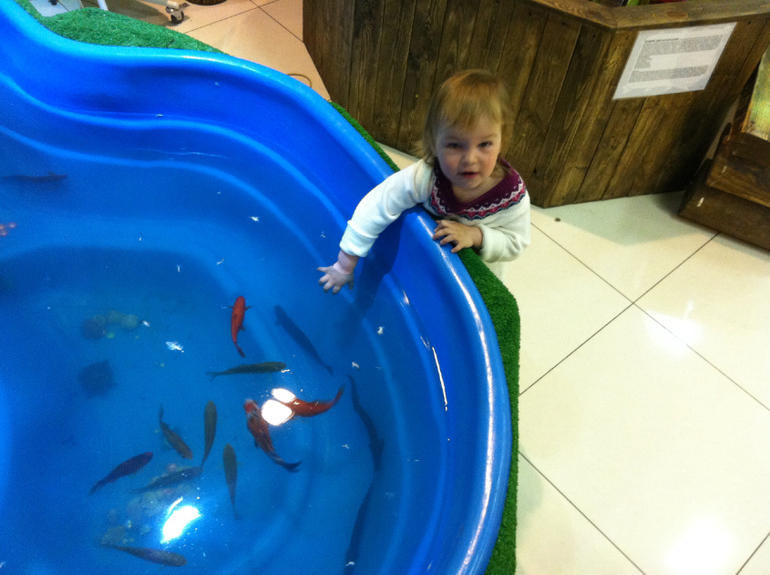 Контактный зоопарк г. Электросталь