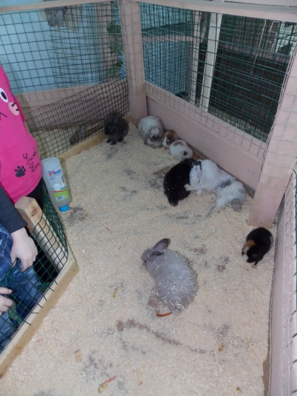 Трогательный зоопарк!