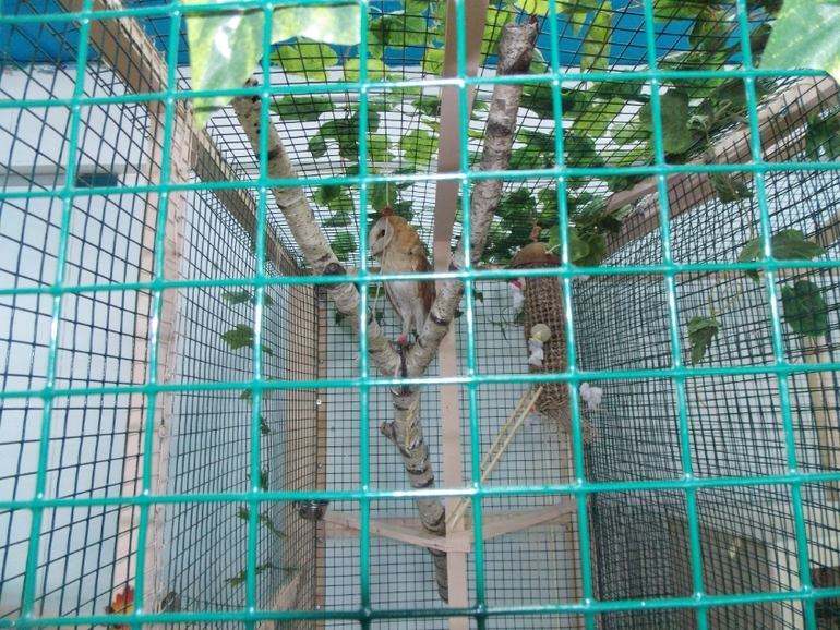 Трогательный зоопарк!