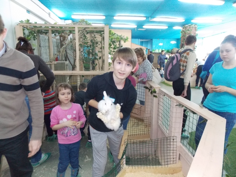 Трогательный зоопарк!