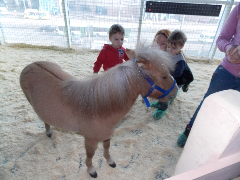 Трогательный зоопарк!