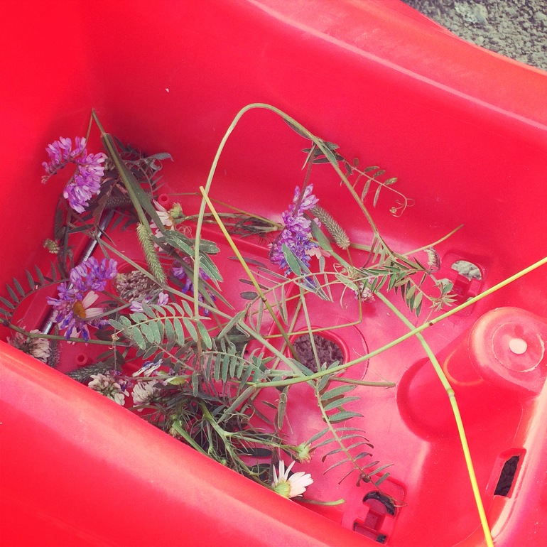 Наше первое занятие Шичида и идея организации материалов для одного дня