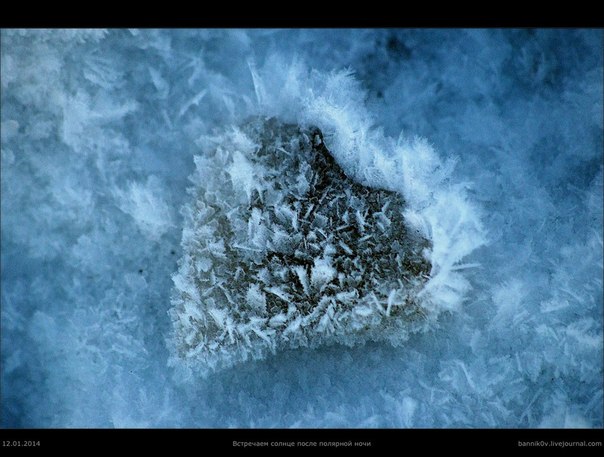 Заполярье (фото моих земляков)