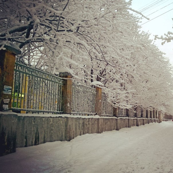 Заполярье (фото моих земляков)
