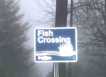 Дорожные знаки