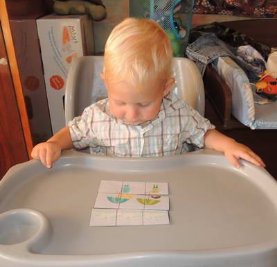 ТЗ 28 Дождик Шичида. 1г 10 мес