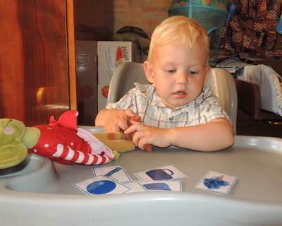 ТЗ 28 Дождик Шичида. 1г 10 мес