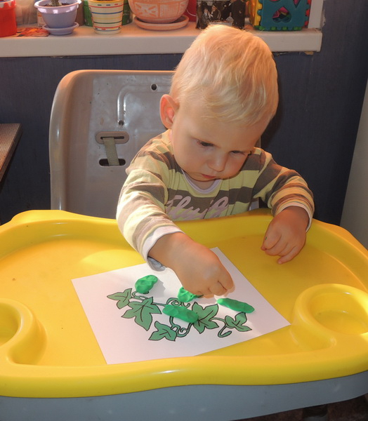 ТН 20 Как растут овощи. 1г 9 мес.